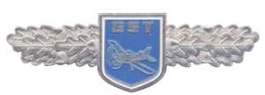 enlarge picture  - badge pilot GDR GST
