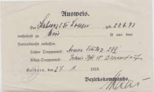 greres Bild - Ausweis Ausmusterung 1918
