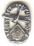 enlarge picture  - badge anti air raid  1939